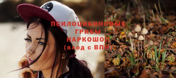 jwh Бородино
