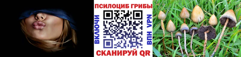 Галлюциногенные грибы прущие грибы  Конаково 